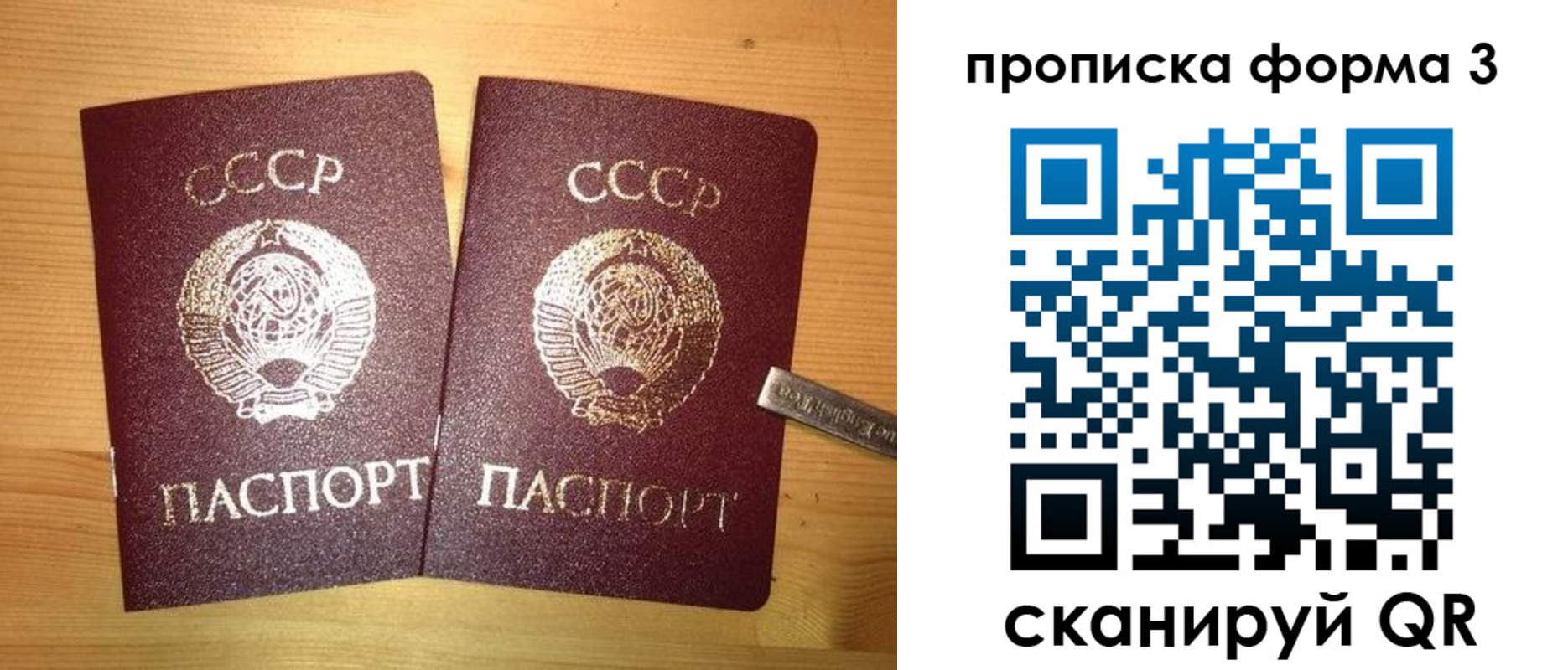 прописка иностранных граждан в Медногорске